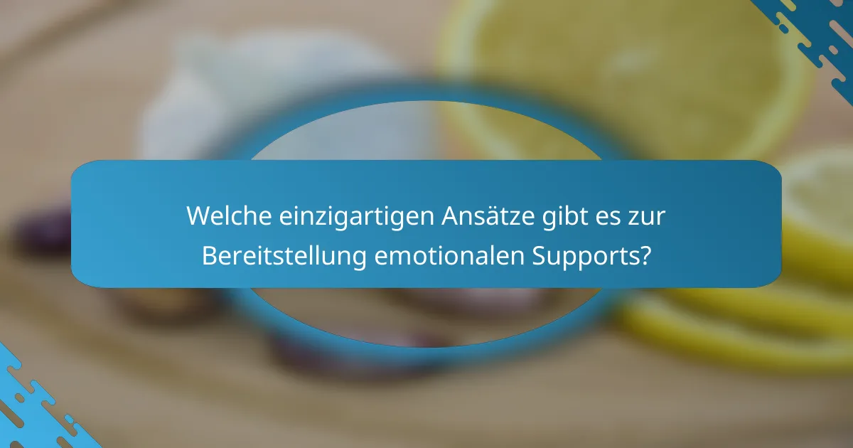 Welche einzigartigen Ansätze gibt es zur Bereitstellung emotionalen Supports?